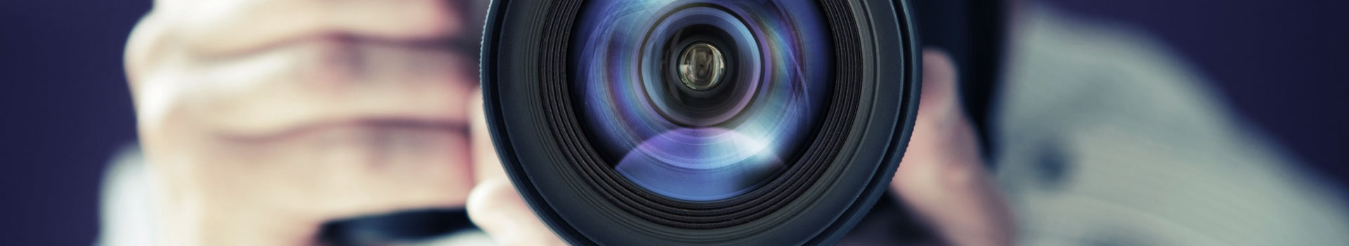 云博在线登录官网